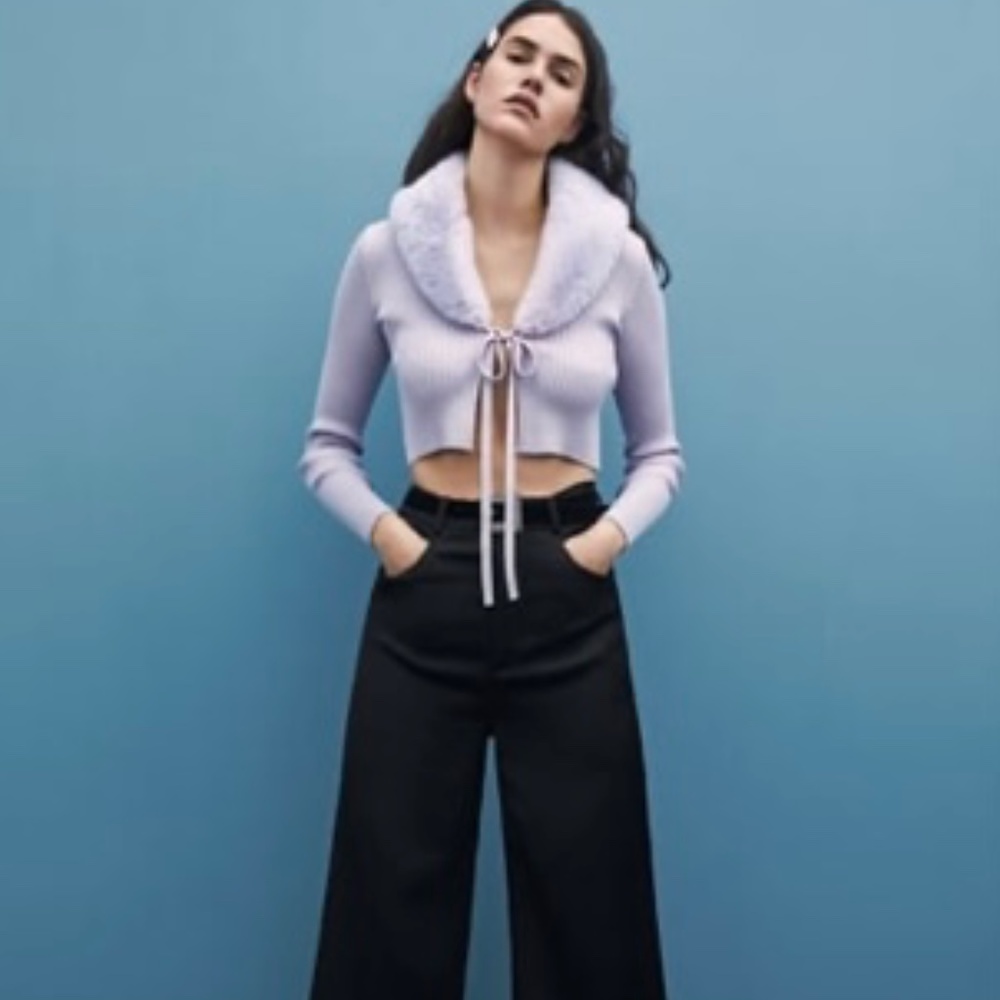 Faux Fur Sweater (Zara)